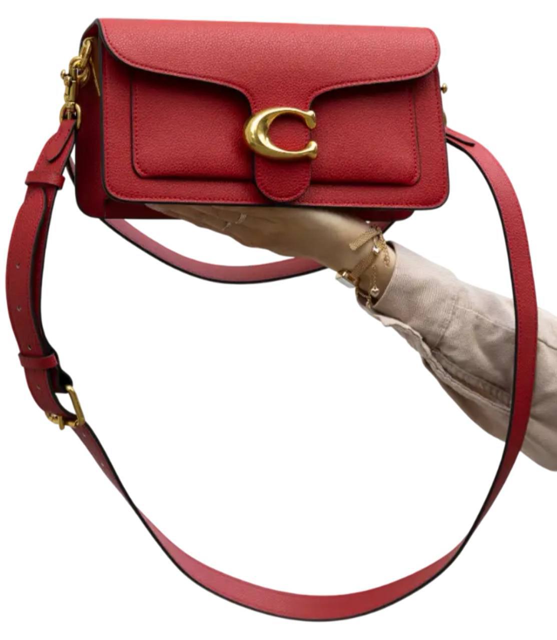 Red Coach Tabby 26